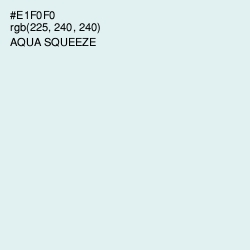 #E1F0F0 - Aqua Squeeze Color Image